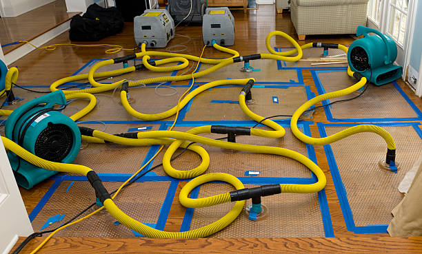 Professional Sewage Cleanup technician working in West College Corner, IN